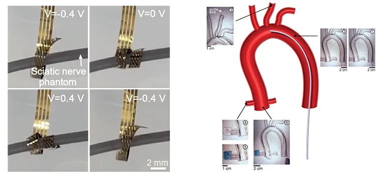 Biomedical Robotics